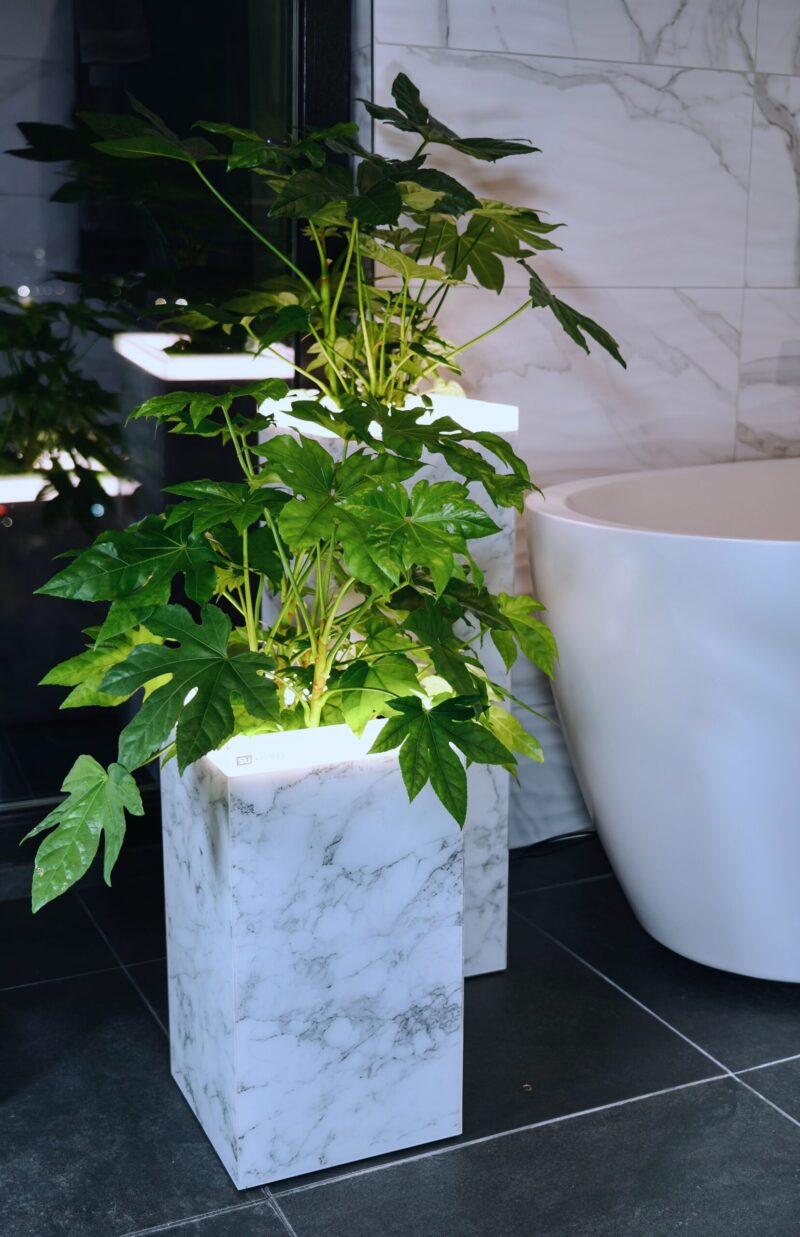 White marble group