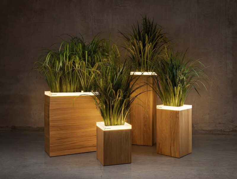 Natural Oak group